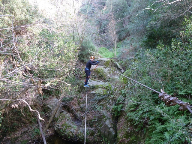 Ferrata entre los arboles